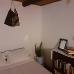ホリデーパーク Casa Da Avo Maria Na Quinta Do Castro *