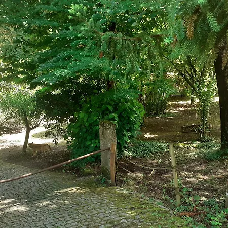 ホリデーパーク Casa Da Avo Maria Na Quinta Do Castro