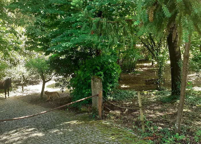 Vakantiepark Casa Da Avo Maria Na Quinta Do Castro