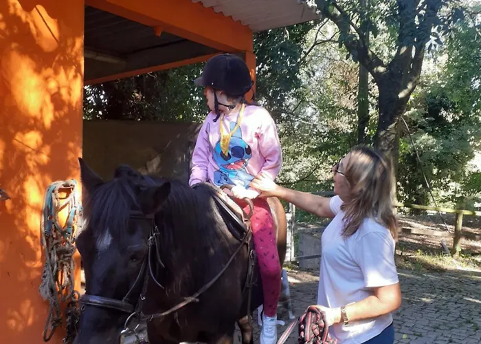 Casa Da Avó Maria Na Quinta Do Castro Parque de vacaciones *